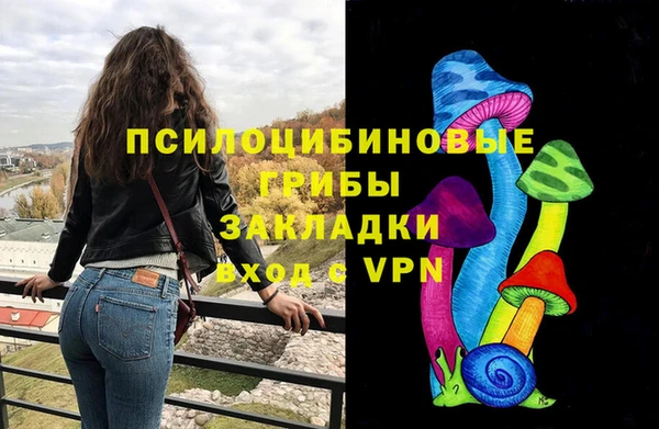 спайс Покачи