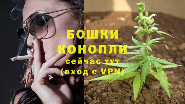 дживик Приозерск